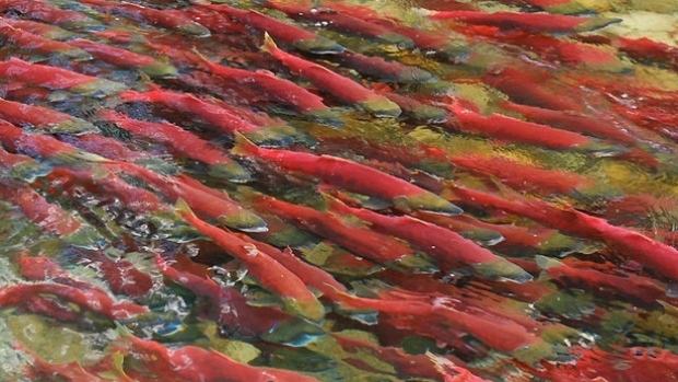 Slideshow image