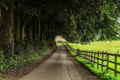 Path