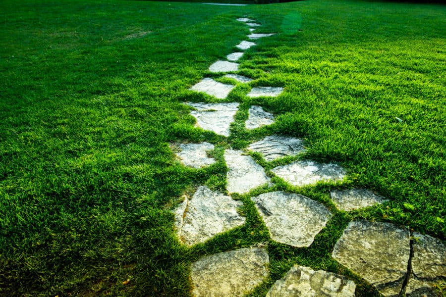 the path